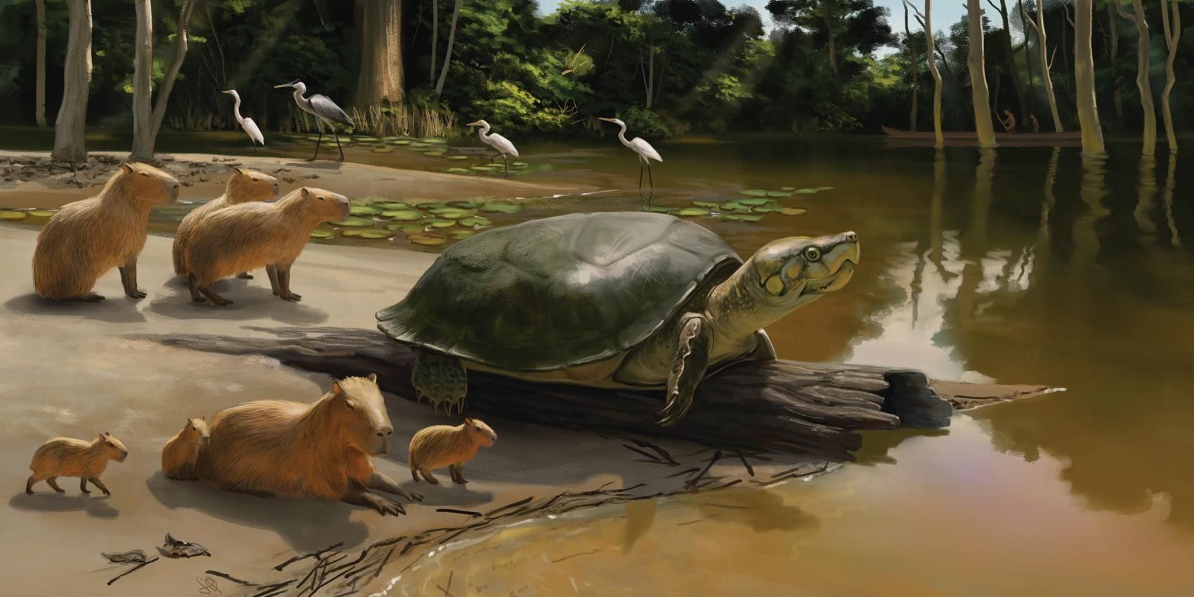 fossil-tartaruga-1