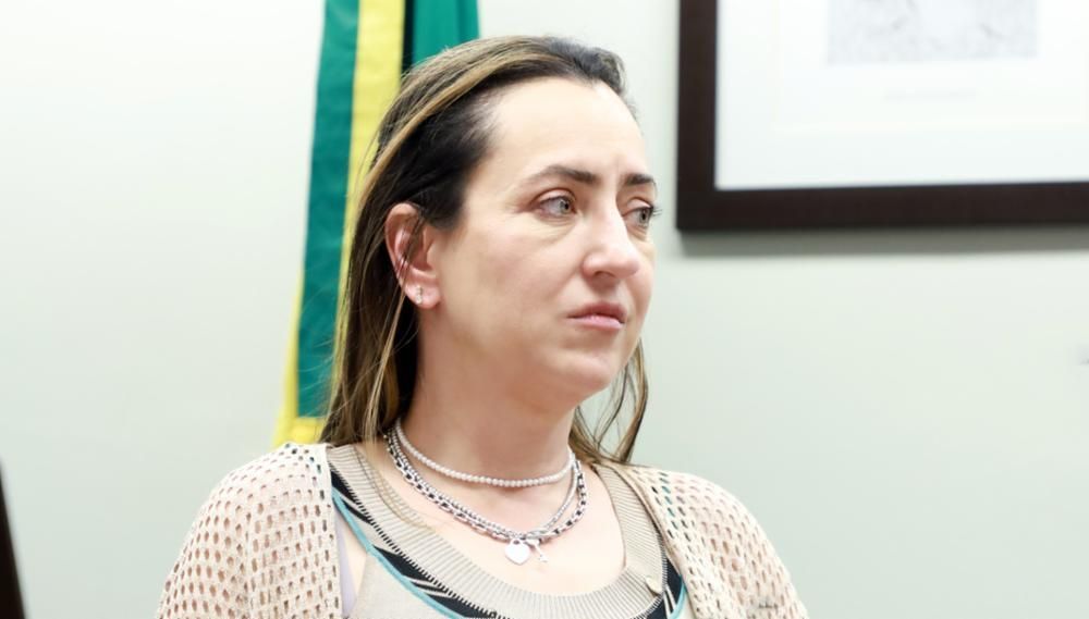 A deputada federal Rosângela Moro (União-SP)