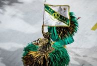 Imperatriz Leopoldinense anuncia título de enredo para 2025