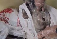 Vídeo: Homem é preso ao desembarcar no Galeão com maconha escondida dentro de peixes