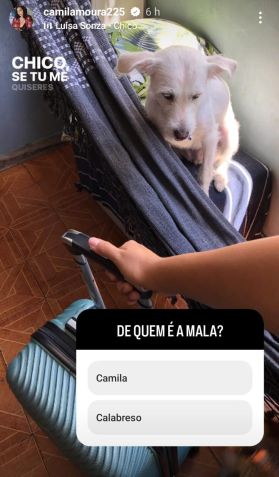 Após postagens, a professora chegou perto dos 1 milhão de seguidores / Instagram/reprodução