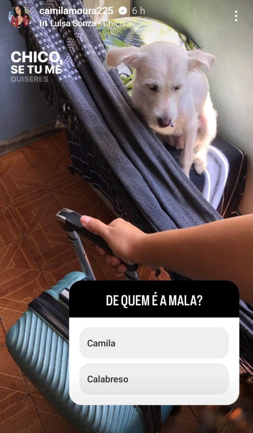 Após postagens, a professora chegou perto dos 1 milhão de seguidores / Instagram/reprodução