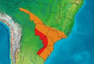Alerta: nova onda de calor sufocante deve atingir o Brasil entre 11 e 15 de março