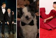 Tombo, diferença de altura e mais: veja os memes do Oscar 2024