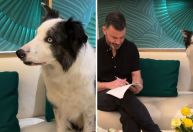 Após polêmica, famoso cão de “Anatomia de uma Queda” marca presença no Oscar