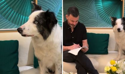 Cão Messi surge ao lado de Jimmy Kimmel em ensaio para o Oscar