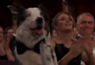 Oscar 2024: Messi rouba a cena ao 