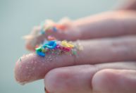 Microplásticos encontrados nas artérias aumentam risco de infarto e AVC