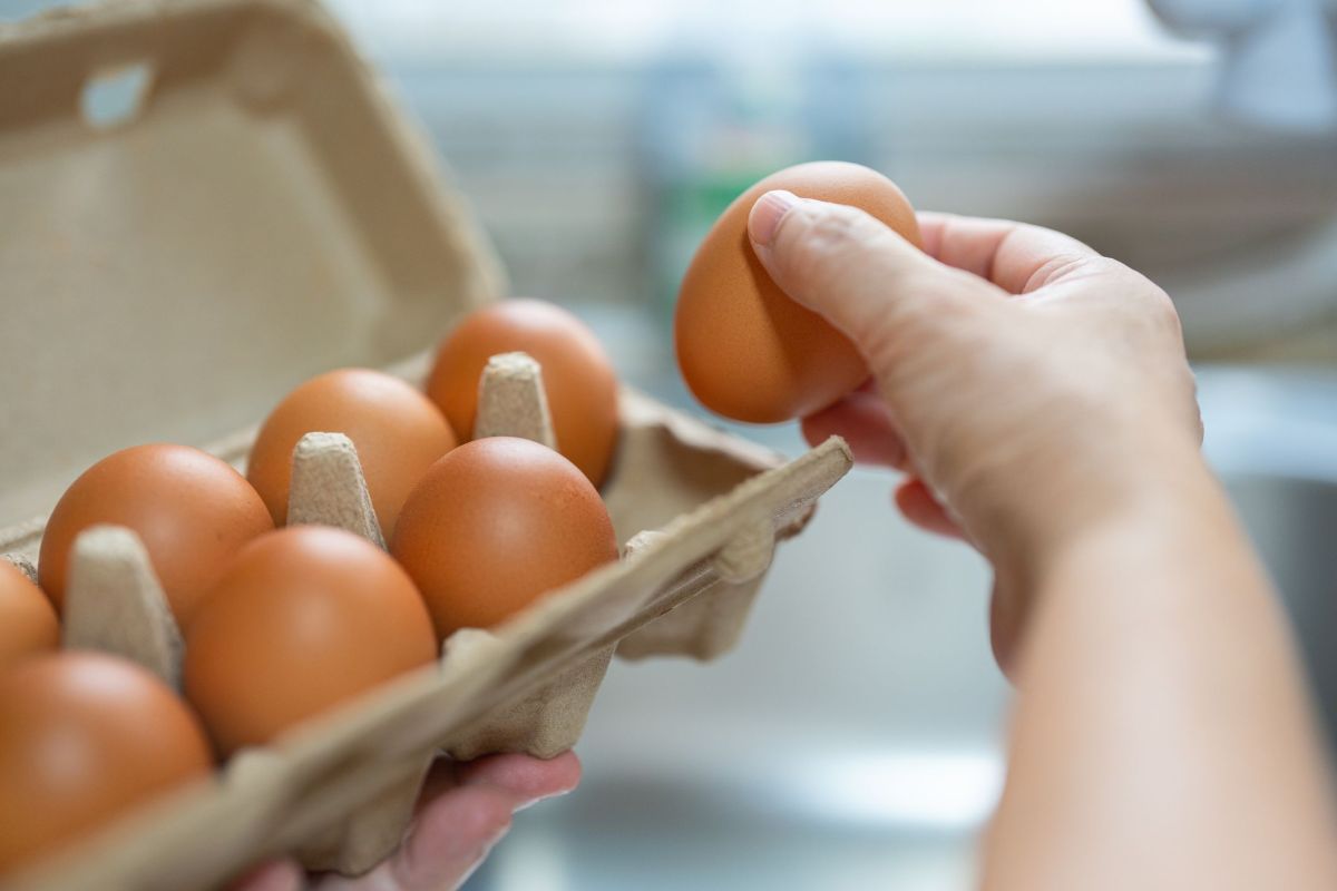 Aleitamento materno pode afetar o resto da vida; entenda