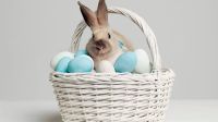Saiba a origem da Páscoa e como a celebração ocorre ao redor do mundo
