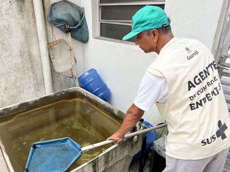 Peixes predadores são utilizados no combate à dengue pela prefeitura do Guarujá / Diego Marchi/Imprensa Guarujá