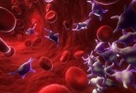 O que são plaquetas, indicadores de gravidade da dengue