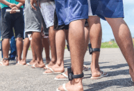 Oposição vê “porteira aberta” com PL das saidinhas e quer mudar até Lei de Execução Penal