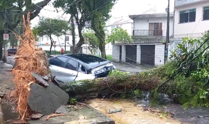 Temporal em SP: em Santos, rajadas de vento atingem 134 km/h, segundo Defesa Civil