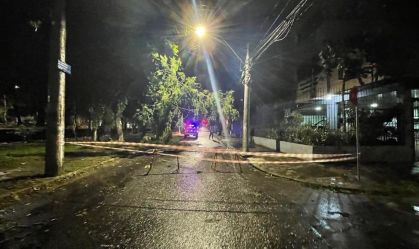 quedaarvorepoa