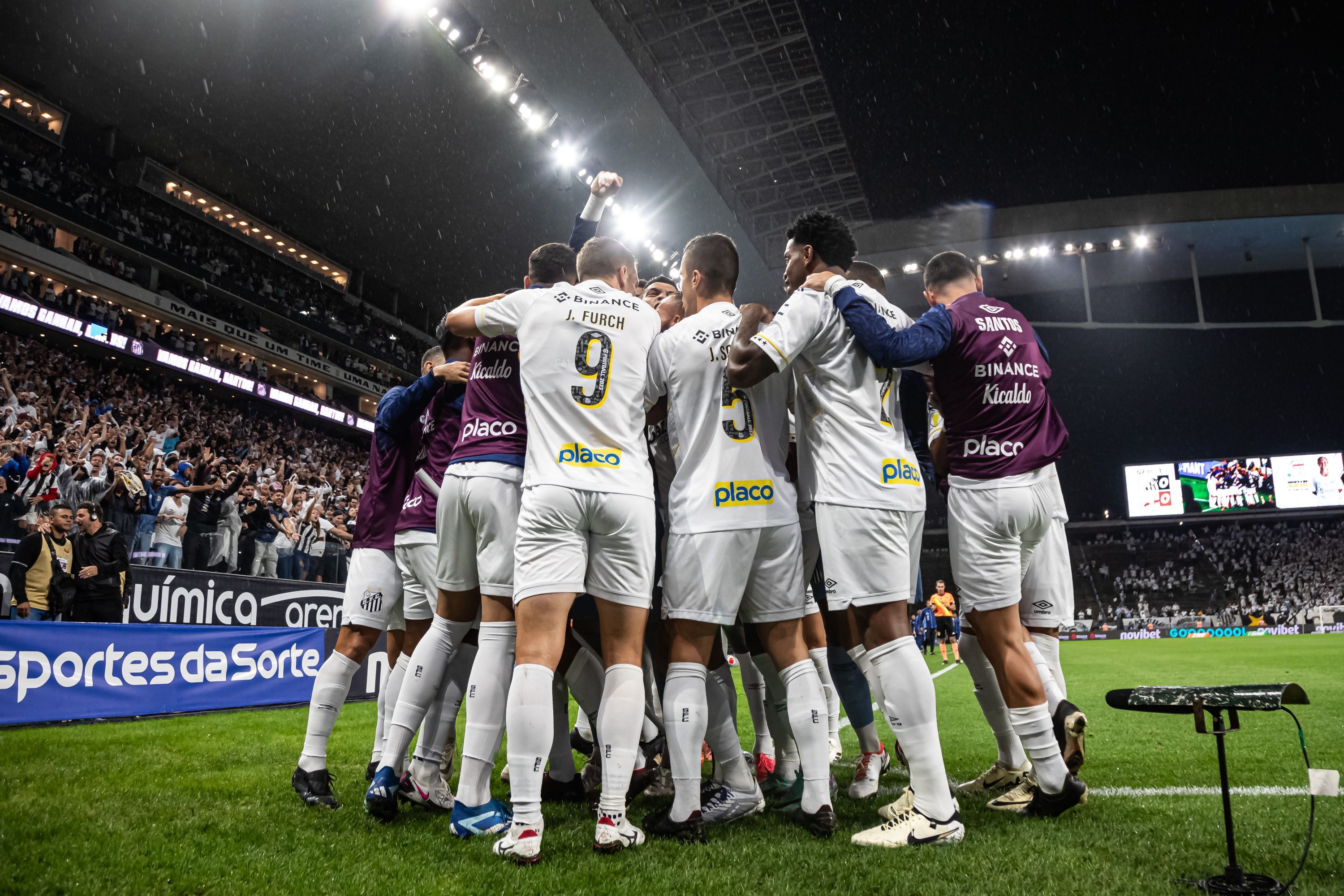 Santos carimba vaga para a final do Campeonato Paulista