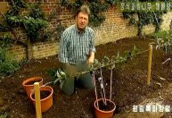 TV norte-coreana censura jeans de apresentador de programa de jardinagem britânico