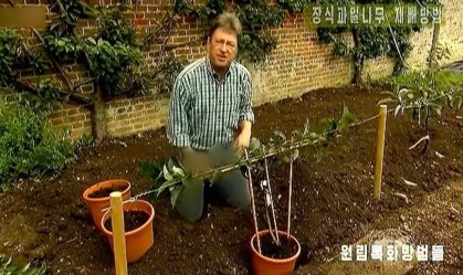 TV norte-coreana censura jeans de apresentador de programa de jardinagem britânico