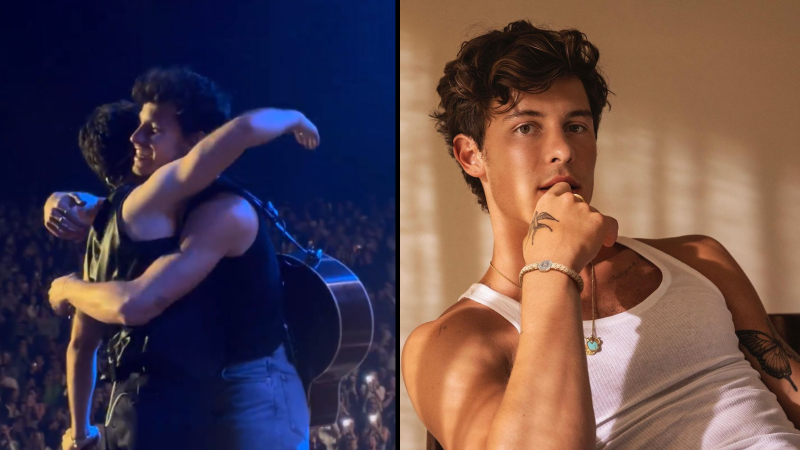 Niall Horan e Shawn Mendes cantaram "Treat You Better" juntos