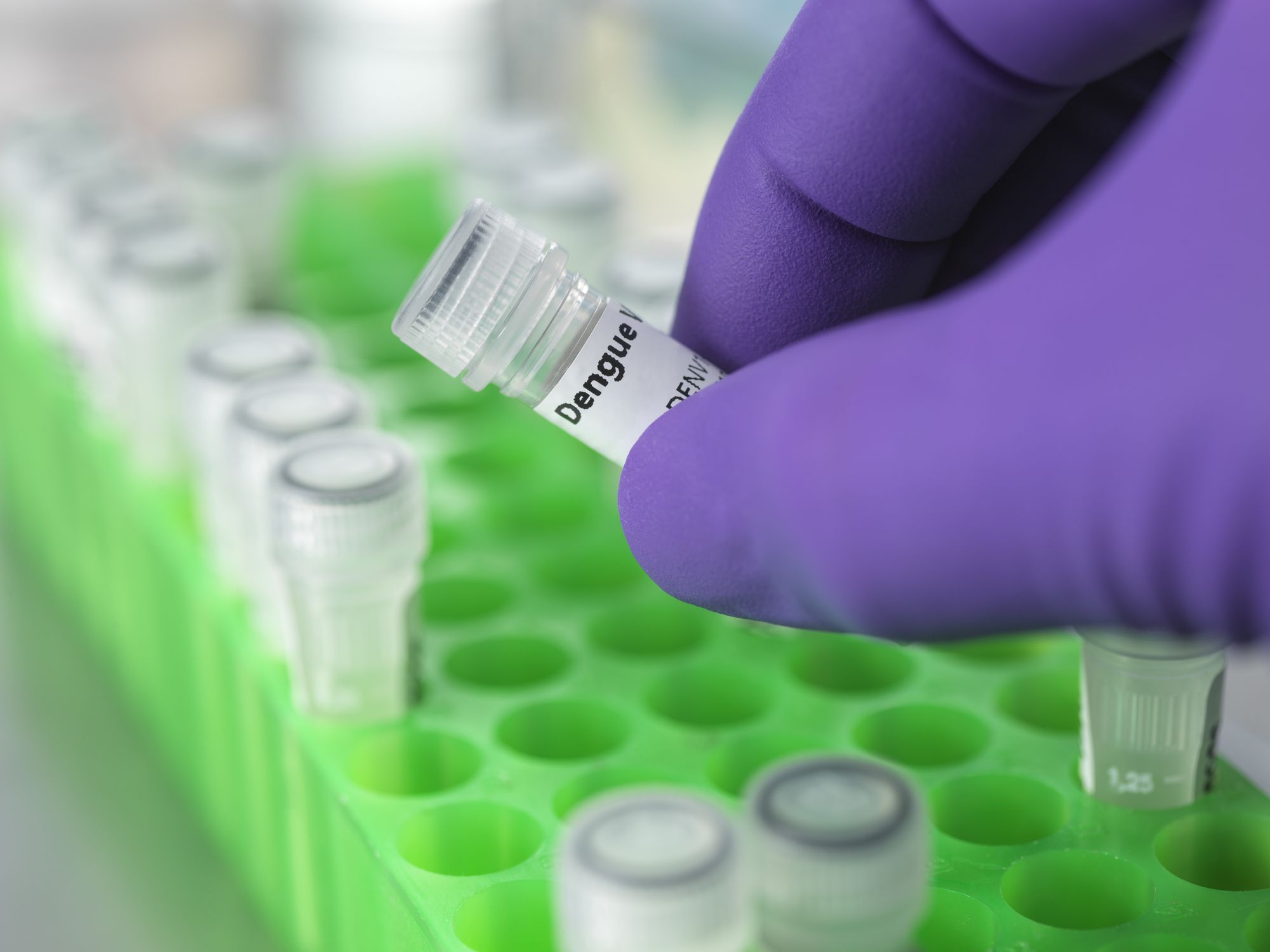 Teste de dengue
