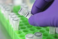 Hospitais em São Paulo enfrentam alta de internações por dengue