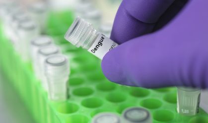 Teste de dengue