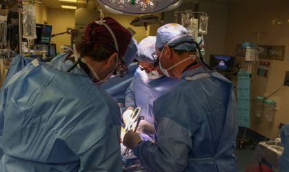 transplante-de-rim-de-porco-2