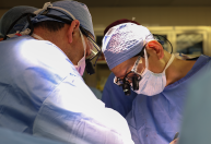 Quem é o médico brasileiro que comanda transplante de rim de porco nos EUA