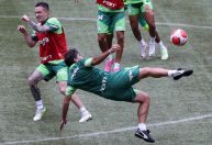 Abel Ferreira tenta voleio em estreia de novo gramado do Allianz Parque; veja