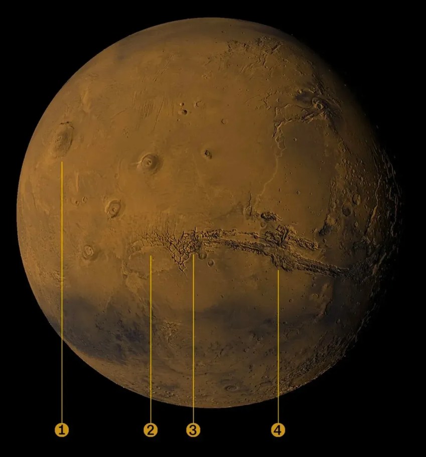Mapa dos vulcões de Marte: 1) Olympus Mons, o vulcão mais alto conhecido em nosso sistema solar. 2) O planalto de Tharsis, que abriga três enormes vulcões. 3) Noctis Labyrinthus 4) Valles Marineris, uma região vizinha de cânions / NASA SVS
