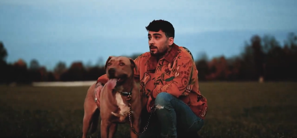 Zayn Malik em teaser de seu novo álbum / Reprodução/X