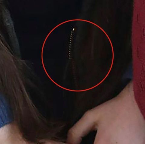 Esta área da jaqueta de Catherine, princesa de Gales, parece mostrar uma ruptura desalinhada ao longo do zíper, o que seria uma prova da alteração da imagem / Divulgação/Palácio de Kensington
