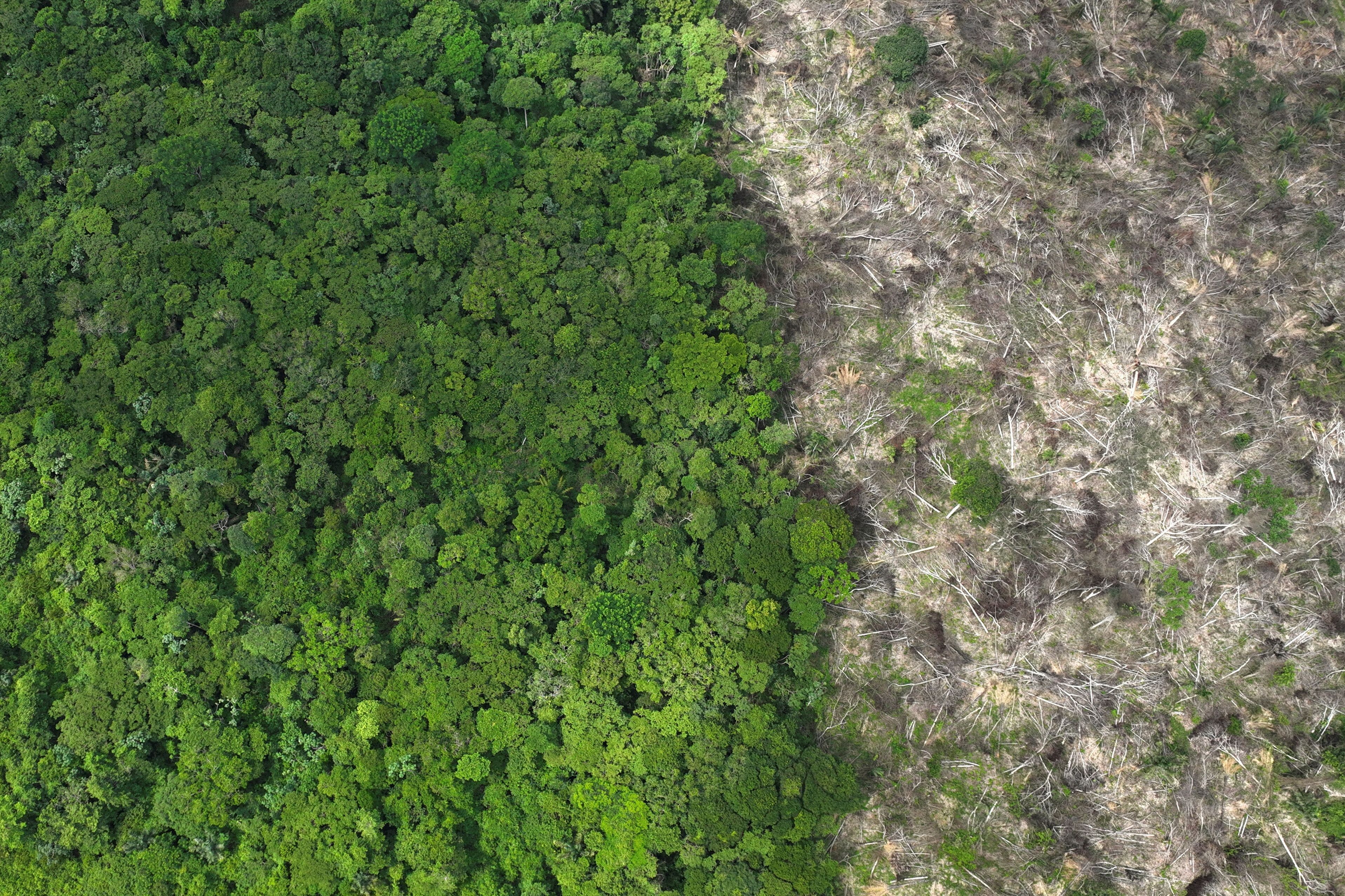 Área desmatada da Floresta Amazônica, no Brasil