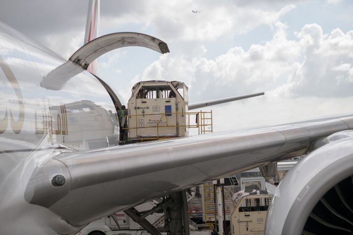 Emirates Equine é uma solução sob medida para o transporte de cavalos / Emirates/Divulgação