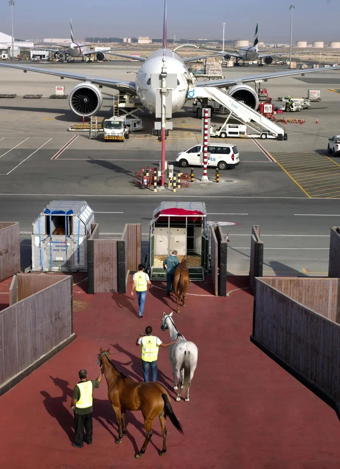 A Emirates Skycargo transporta cavalos campeões de todo o mundo para as corridas da Copa do Mundo de Dubai e do Carnaval desde 2002 / Emirates/Divulgação