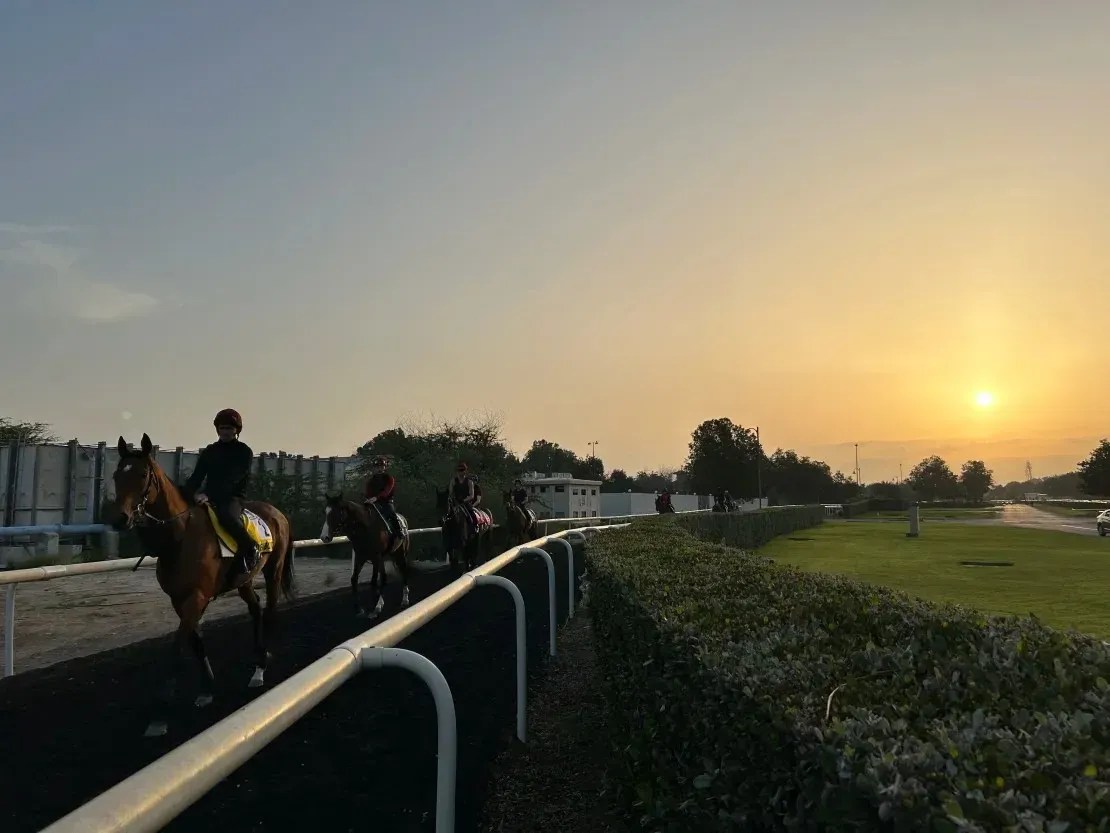 Cavalos caminham até o Hipódromo de Meydan saindo de seu estábulo de quarentena para o trabalho matinal antes da Copa do Mundo de Dubai / Rebecca Cairns/CNN