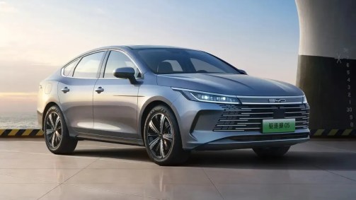 BYD King