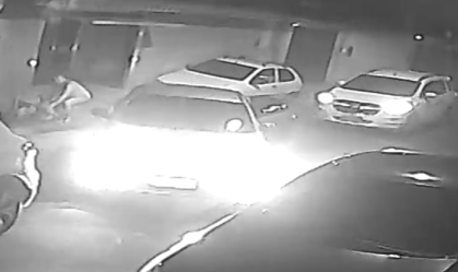 Depois de ser esmagada por bandidos, vítima de roubo está em casa e recupera gatas