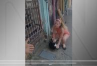 Gata é resgatada após ser torturada por ter mordido criança no Rio