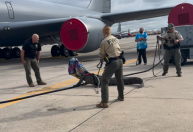 Vídeo: Crocodilo invade pista base da Força Aérea dos EUA
