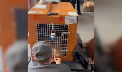 Ministro convocará empresas aéreas para endurecer regras no transporte de animais