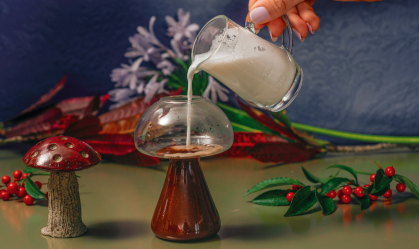 Café com cogumelo? Negócios com produtos funcionais crescem no Brasil