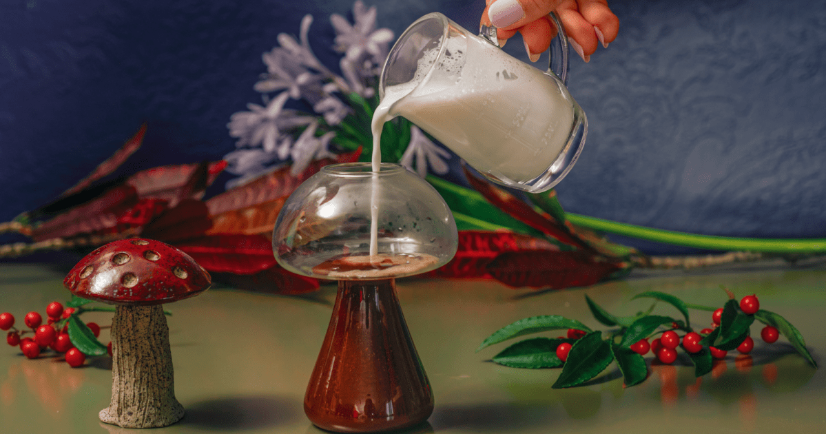 Café com cogumelo? Negócios com produtos funcionais crescem no Brasil