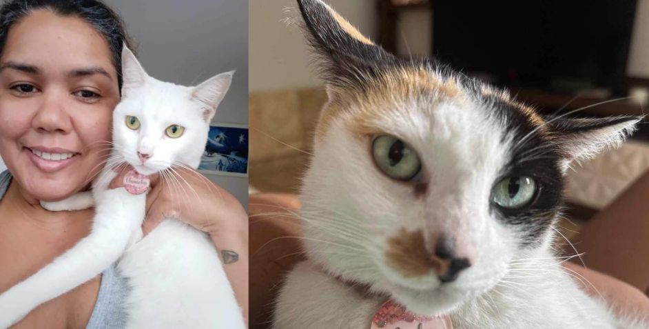 Gabriela e as gatas que foram recuperadas após assalto / Reprodução/Arquivo Pessoal