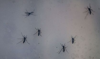 Porto Alegre suspende vacinação contra a dengue por falta de doses