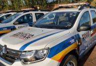 Possível envenenamento de cães é investigado pela Polícia Civil de Minas Gerais