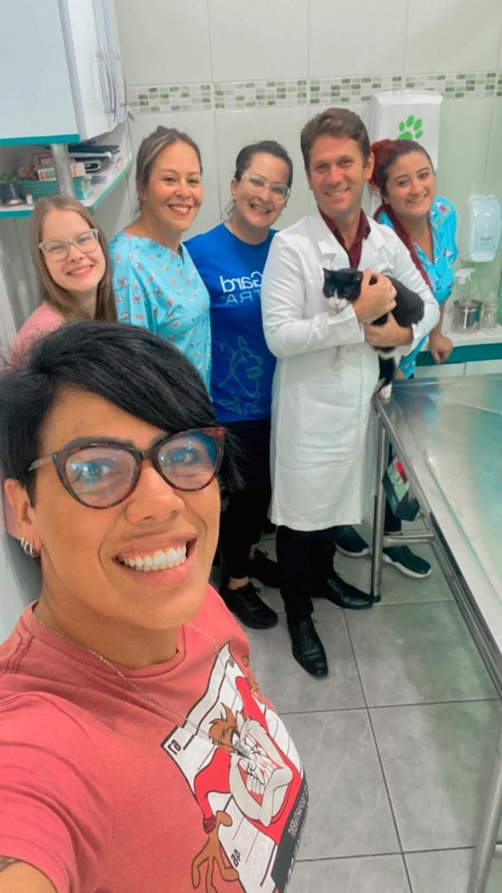 Gata foi resgatada por moradores e levada até clínica veterinária da região / Reprodução/Redes Sociais
