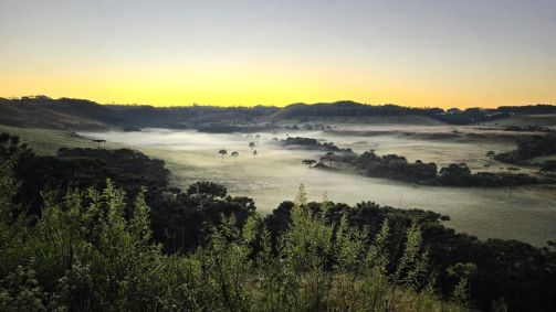 Cidade no interior de Santa Catarina registrou temperatura de 0,1ºC na primeira onda de frio de 2024