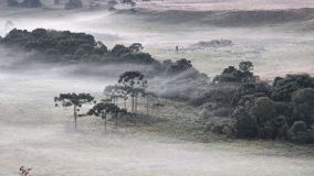 Cidade no interior de Santa Catarina registrou temperatura de 0,1ºC na primeira onda de frio de 2024