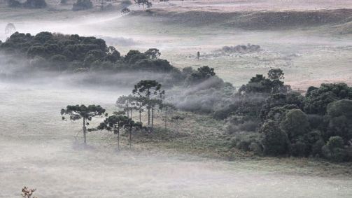 Cidade no interior de Santa Catarina registrou temperatura de 0,1ºC na primeira onda de frio de 2024
